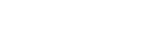 Birdy logo